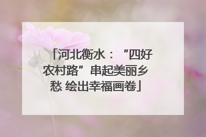 河北衡水：“四好农村路”串起美丽乡愁 绘出幸福画卷