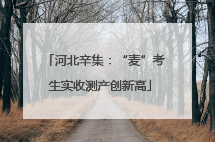 河北辛集：“麦”考生实收测产创新高