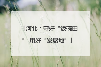 河北：守好“饭碗田” 用好“发展地”