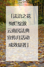 法治之花绚烂绽放 云南民法典宣传月活动成效显著