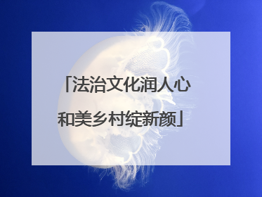法治文化润人心 和美乡村绽新颜