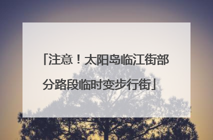 注意！太阳岛临江街部分路段临时变步行街