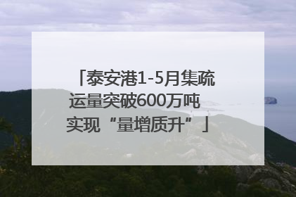 泰安港1-5月集疏运量突破600万吨 实现“量增质升”