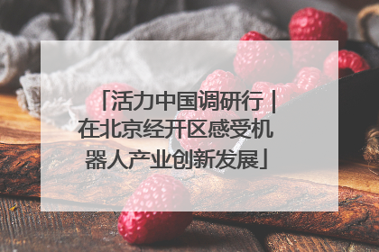 活力中国调研行｜在北京经开区感受机器人产业创新发展