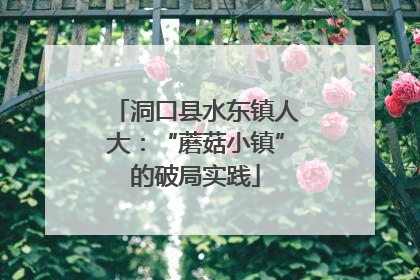 洞口县水东镇人大：“蘑菇小镇”的破局实践