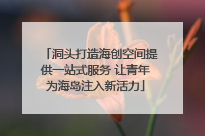 洞头打造海创空间提供一站式服务 让青年为海岛注入新活力