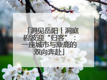 洞见岳阳丨洞庭碧波迎“归客”：一座城市与麋鹿的双向奔赴