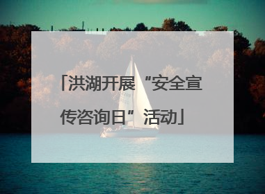 洪湖开展“安全宣传咨询日”活动