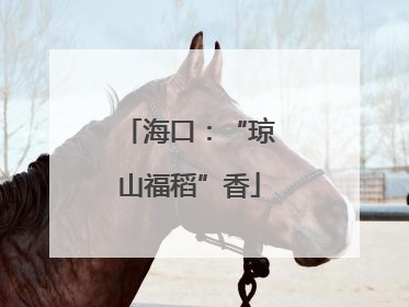 海口：“琼山福稻”香