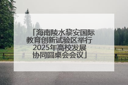 海南陵水黎安国际教育创新试验区举行2025年高校发展协同圆桌会会议