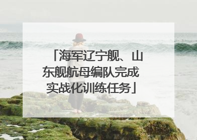 海军辽宁舰、山东舰航母编队完成实战化训练任务