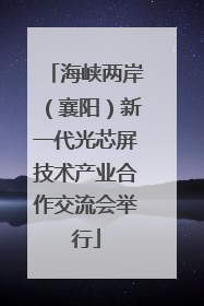 海峡两岸（襄阳）新一代光芯屏技术产业合作交流会举行