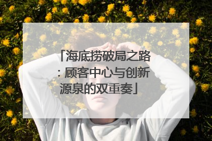 海底捞破局之路：顾客中心与创新源泉的双重奏