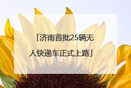 济南首批25辆无人快递车正式上路