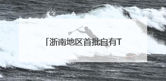 浙南地区首批自有TIR车辆启程 “购车远航”助推外贸发展