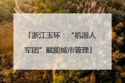 浙江玉环：“机器人军团”赋能城市管理