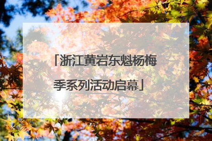 浙江黄岩东魁杨梅季系列活动启幕