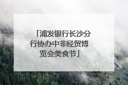 浦发银行长沙分行协办中非经贸博览会美食节