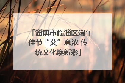 淄博市临淄区端午佳节“艾”意浓 传统文化焕新彩