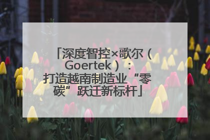 深度智控×歌尔（Goertek）：打造越南制造业“零碳”跃迁新标杆