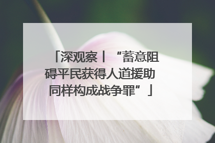 深观察丨“蓄意阻碍平民获得人道援助同样构成战争罪”