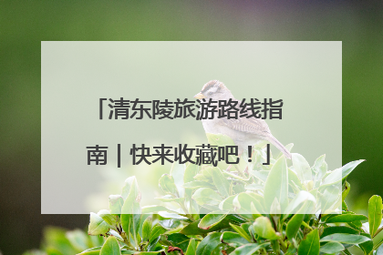 清东陵旅游路线指南｜快来收藏吧！