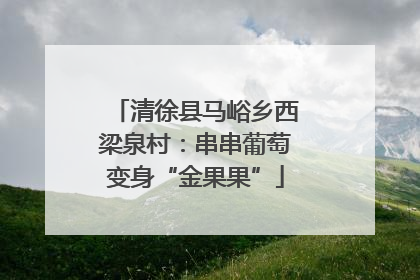 清徐县马峪乡西梁泉村：串串葡萄变身“金果果”
