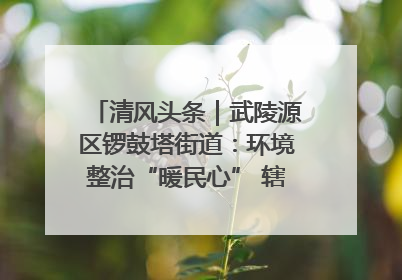 清风头条｜武陵源区锣鼓塔街道：环境整治“暖民心” 辖区面貌“靓”起来
