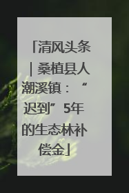 清风头条｜桑植县人潮溪镇：“迟到”5年的生态林补偿金