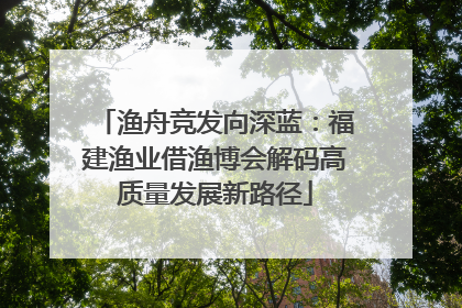 渔舟竞发向深蓝：福建渔业借渔博会解码高质量发展新路径