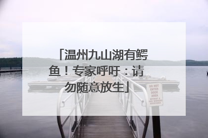 温州九山湖有鳄鱼！专家呼吁：请勿随意放生
