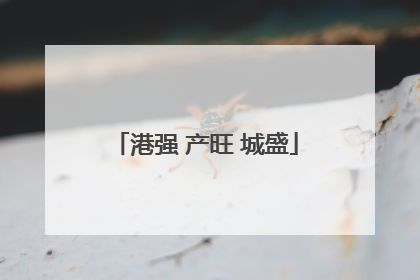 港强 产旺 城盛