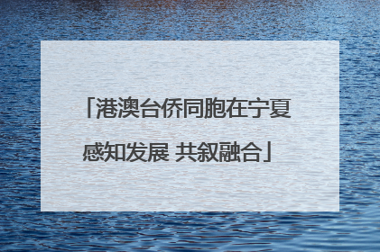 港澳台侨同胞在宁夏感知发展 共叙融合