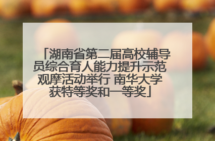 湖南省第二届高校辅导员综合育人能力提升示范观摩活动举行 南华大学获特等奖和一等奖