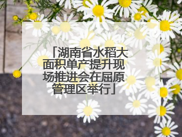 湖南省水稻大面积单产提升现场推进会在屈原管理区举行