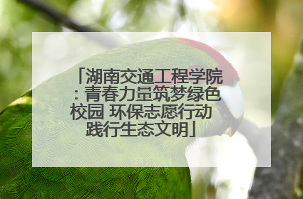 湖南交通工程学院：青春力量筑梦绿色校园 环保志愿行动践行生态文明