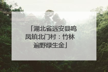 湖北省远安县鸣凤镇北门村：竹林遍野绿生金