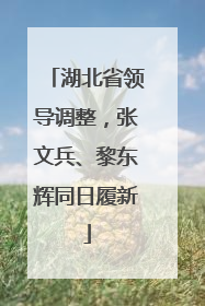湖北省领导调整，张文兵、黎东辉同日履新