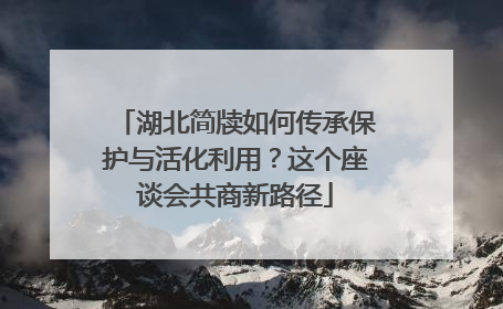 湖北简牍如何传承保护与活化利用？这个座谈会共商新路径