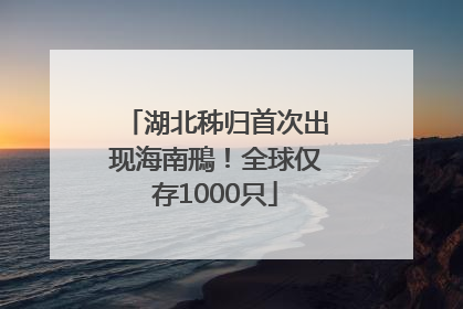 湖北秭归首次出现海南鳽！全球仅存1000只