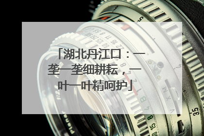 湖北丹江口：一垄一垄细耕耘，一叶一叶精呵护