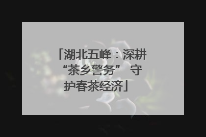 湖北五峰：深耕“茶乡警务” 守护春茶经济