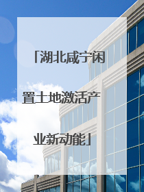 湖北咸宁闲置土地激活产业新动能