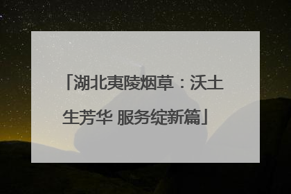 湖北夷陵烟草：沃土生芳华 服务绽新篇