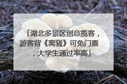 湖北多景区创意揽客，游客背《离骚》可免门票，大学生通过率高