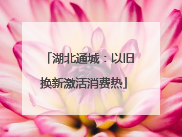 湖北通城：以旧换新激活消费热