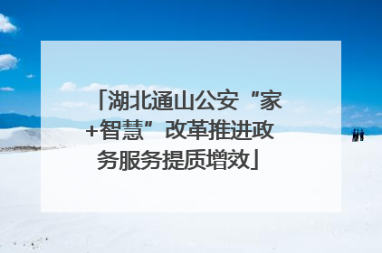湖北通山公安“家+智慧”改革推进政务服务提质增效