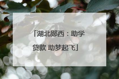 湖北郧西：助学贷款 助梦起飞