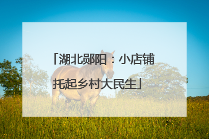 湖北郧阳：小店铺托起乡村大民生