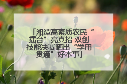 湘潭高素质农民“擂台”亮真招 双创技能决赛晒出“学用贯通”好本事